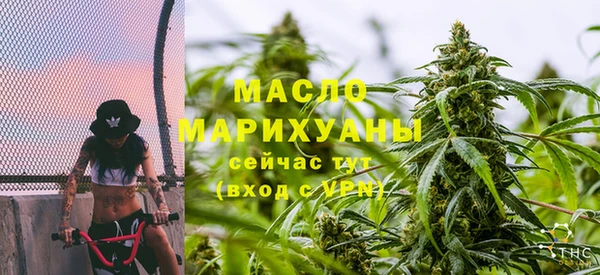 прущие грибы Медвежьегорск