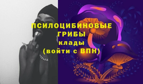 герыч Медногорск