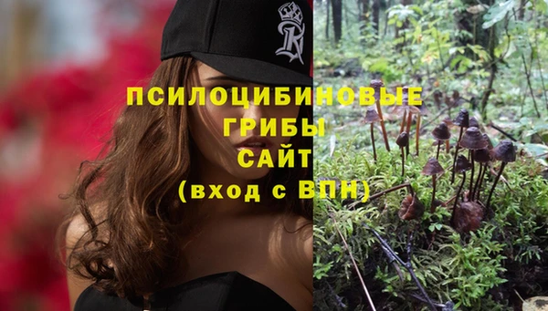 герыч Медногорск