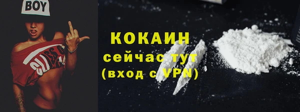 прущие грибы Медвежьегорск