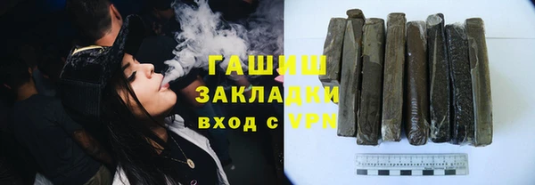 прущие грибы Медвежьегорск