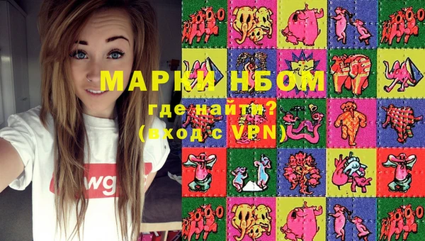прущие грибы Медвежьегорск
