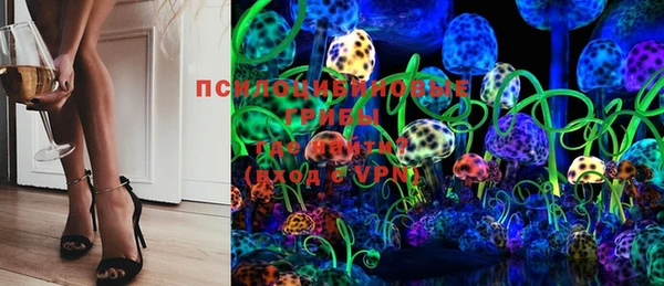 прущие грибы Медвежьегорск