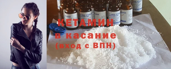 прущие грибы Медвежьегорск