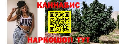 сатива Апшеронск