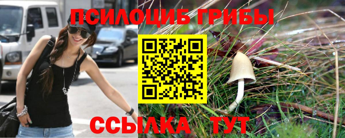 Мурино  Галлюциногенные грибы мухоморы  Псилоцибиновые грибы мицелий  Вход с VPN 