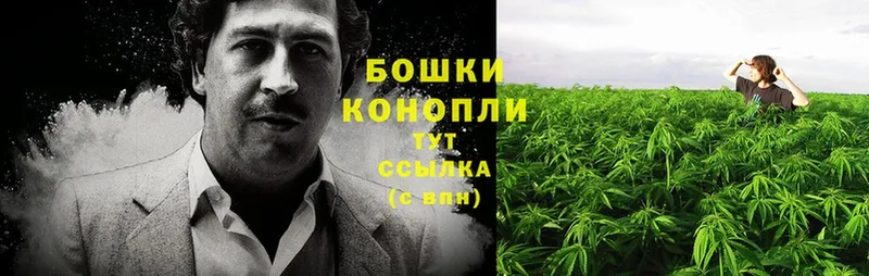 где продают наркотики  Мурино  Каннабис LSD WEED 